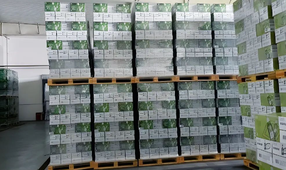 1736132948997281.png image.png